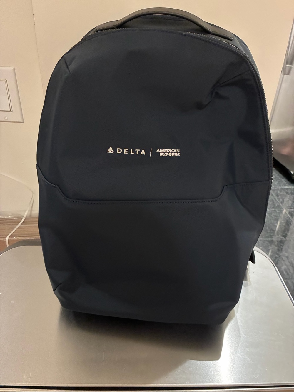 Away Everywhere Zip Backpack with Delta x American Express